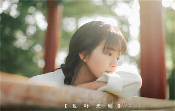 丹凤胎儿性别鉴定需要多少钱(胎儿性别鉴定的方法)